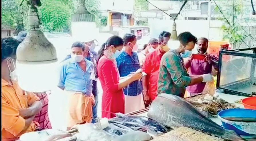 അനുമതിയില്ലാതെ പ്രവർത്തിച്ച കടയിൽനിന്ന് പഴകിയ മത്സ്യം പിടികൂടി