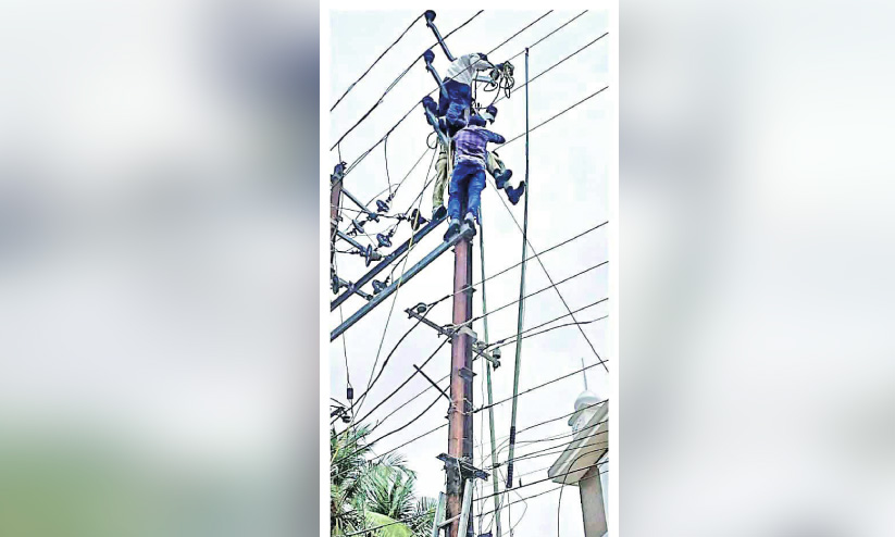 KSEB employee injured KSEB employee injured