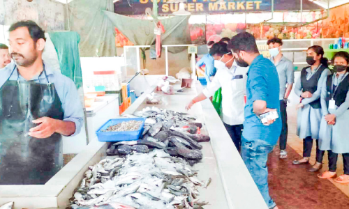 ലൈസൻസില്ലാത്ത ഭക്ഷണശാലകൾ അടച്ചുപൂട്ടാൻ തീരുമാനം: 32 കിലോ പഴകിയ മത്സ്യം പിടിച്ചു