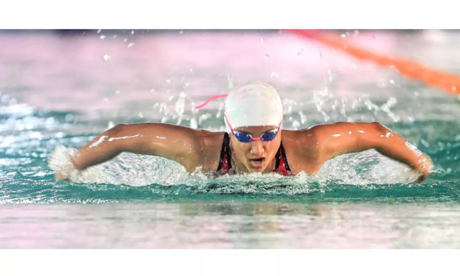 ഇവൾ കേരളത്തിന്റെ സ്വർണമത്സ്യം