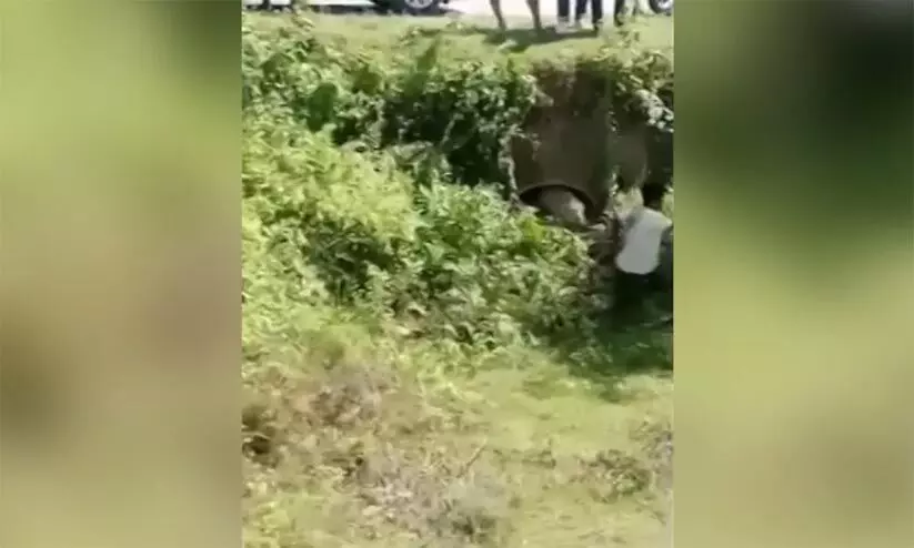 ദൃശ്യങ്ങൾ പകർത്താൻ ശ്രമിക്കുന്നതിനിടെ യുവാവിനെ പുള്ളിപുലി ആക്രമിച്ചു ദൃശ്യങ്ങൾ പകർത്താൻ ശ്രമിക്കുന്നതിനിടെ യുവാവിനെ പുള്ളിപുലി ആക്രമിച്ചു