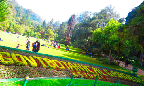 ഊട്ടി പുഷ്പമേളയുടെ ഒരുക്കം അവസാന ഘട്ടത്തിലേക്ക്