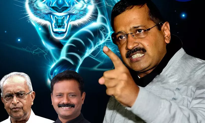 പുലി പതുങ്ങുന്നത് പിൻവാങ്ങാൻ അല്ല, കുതിക്കാൻ ആണെന്ന് എ.എ.പി പുലി പതുങ്ങുന്നത് പിൻവാങ്ങാൻ അല്ല, കുതിക്കാൻ ആണെന്ന് എ.എ.പി