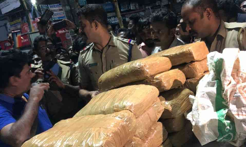 ശാസ്താംകോട്ട ഭരണിക്കാവിൽ വൻ കഞ്ചാവ് വേട്ട, രണ്ടു യുവാക്കൾ അറസ്റ്റിൽ