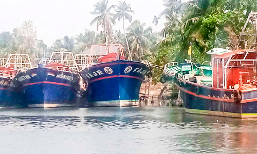 fisheries sector