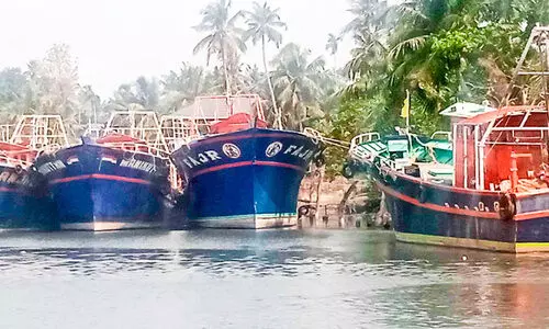 fisheries sector