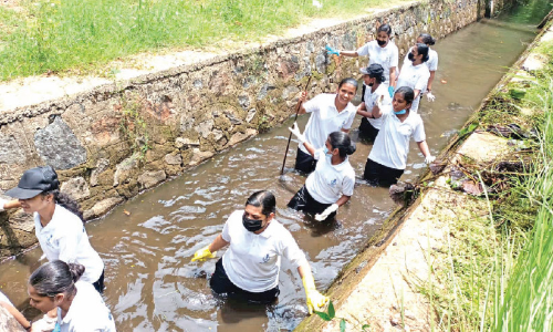 കു​ണ്ടു​ചി​റ അണക്കെട്ട് പരിസരം ശുചീകരിച്ചു