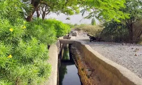 സന്ദർശകരെ ആകർഷിച്ച് ഫലജ് അൽ ദാരിസ്