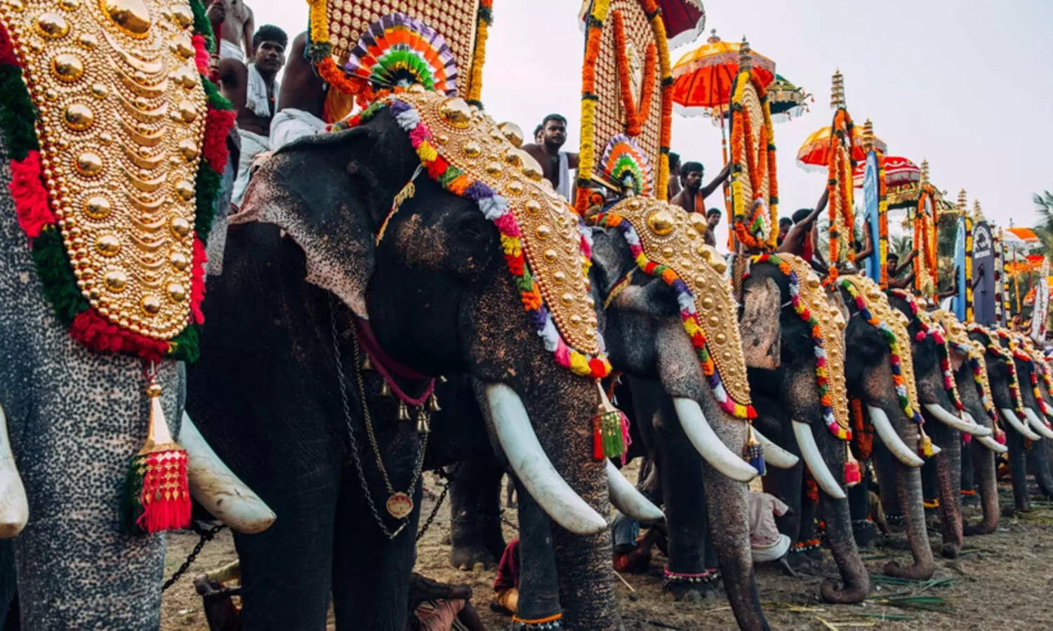 തൃശൂർ പൂരത്തിന്​ ആനമാറാട്ടം; അ​ന്വേ​ഷി​ക്ക​ണ​മെ​ന്ന്​ വ​നം വ​കു​പ്പി​ന് പ​രാ​തി