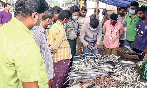 പൊന്നാനിയിൽ 40 കിലോ പഴകിയ മത്സ്യം പിടികൂടി