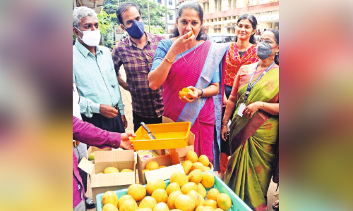 കണ്ണൂരിൽ ഇനി കുറ്റ്യാട്ടൂർ മാമ്പഴ മധുരം:  മാ​മ്പ​ഴ വി​പ​ണ​ന കേ​ന്ദ്രം തു​ട​ങ്ങി