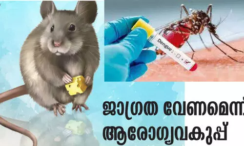 എറണാകുളം ജില്ലയിൽ ഡെങ്കിപ്പനി മരണം 10  എലിപ്പനി മരണം 14