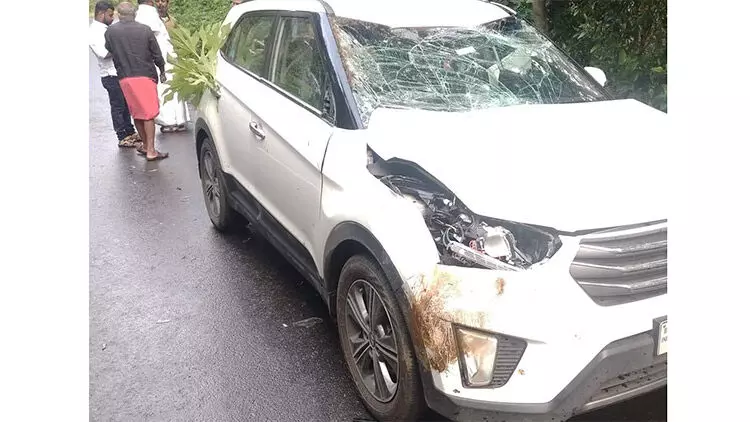 ഓടിക്കൊണ്ടിരുന്ന കാറിന് മുകളിലേക്ക് എടുത്തുചാടി കാട്ടുപോത്ത് ഓടിക്കൊണ്ടിരുന്ന കാറിന് മുകളിലേക്ക് എടുത്തുചാടി കാട്ടുപോത്ത്