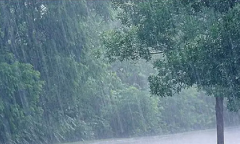 കേരളത്തിൽ കാലവർഷം നേരത്തെ എത്തും; അഞ്ചുദിവസം മഴ തുടരും