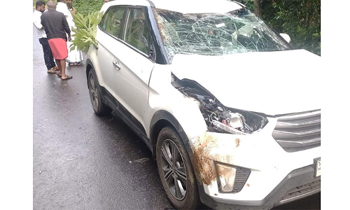 ഓടിക്കൊണ്ടിരുന്ന കാറിന് മുകളിലേക്ക് എടുത്തുചാടി കാട്ടുപോത്ത്