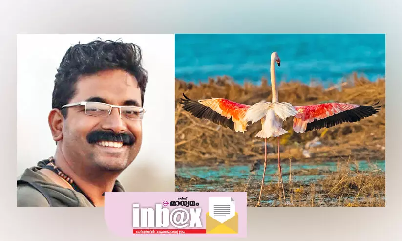 ഇന്ന് ലോക ദേശാടന പക്ഷിദിനം : ദേശാടനക്കിളികളും കരയാറുണ്ട്; നമ്മൾ കാരണം ഇന്ന് ലോക ദേശാടന പക്ഷിദിനം : ദേശാടനക്കിളികളും കരയാറുണ്ട്; നമ്മൾ കാരണം