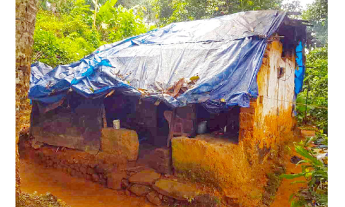 ആ​റു​പ​തി​റ്റാ​ണ്ടാ​യി ഭൂ​രേ​ഖ​യി​ല്ലാ​തെ മൂ​ന്ന് ദ​ലി​ത് കു​ടും​ബ​ങ്ങ​ൾ