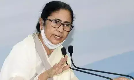 Mamata