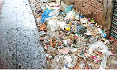 പാനൂരിൽ മാലിന്യക്കൂമ്പാരം പാനൂരിൽ മാലിന്യക്കൂമ്പാരം