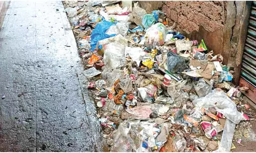 പാനൂരിൽ മാലിന്യക്കൂമ്പാരം