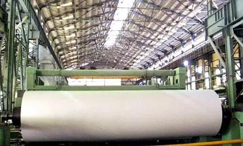 കേരള പേപ്പര്‍ പ്രൊഡക്ട് ലിമിറ്റഡിന് വനംവകുപ്പ് മരം നൽകും