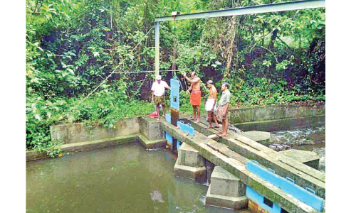 പെരുന്തോടിന്‍റെ ഷട്ടർ ഉയർത്തി; കർഷകർക്ക് ആശ്വാസം