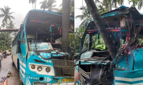 പാനൂരിൽ ബസ് നിയന്ത്രണംവിട്ട് തെങ്ങിലിടിച്ചു; രണ്ടുപേർക്ക് പരിക്ക്