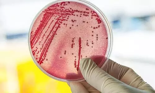 Coliform bacteria