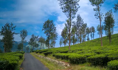 കെട്ടിട നിര്‍മാണം: വൈത്തിരിയിലെ നിയന്ത്രണങ്ങളില്‍ ഇളവില്ല