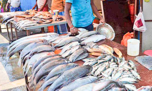 illegal fish stalls