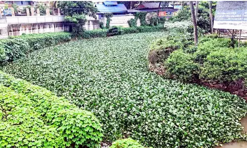 അയത്തിൽ ആറ്റിൽ കുളവാഴ നിറഞ്ഞു; വെള്ളപ്പൊക്ക ഭീതിയിൽ പരിസരവാസികൾ