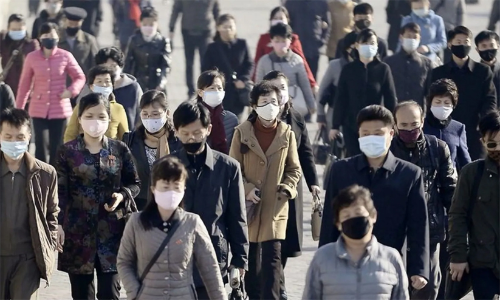 covid north korea covid north korea