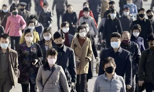 covid north korea covid north korea