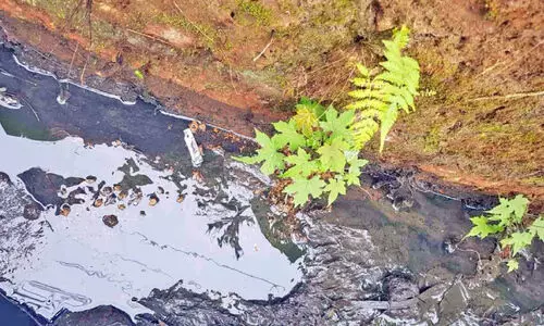 പുറമേരിയിൽ ജനവാസകേന്ദ്രത്തിൽ കക്കൂസ് മാലിന്യം തള്ളി