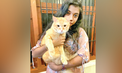 ലിയോ നീ എവിടെയാണ്? ആദിത്യ കാത്തിരിക്കുന്നു