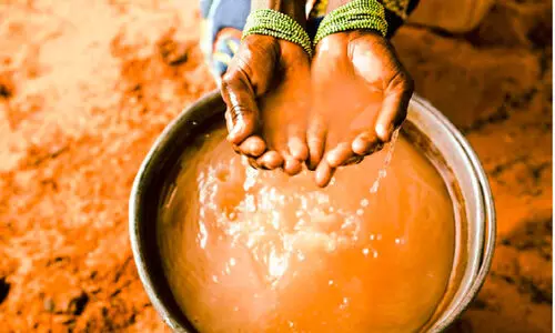 Public water sources in Idukki are polluted