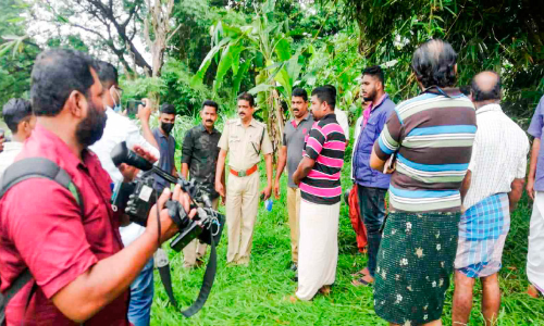പുലി ഒടുവിൽ വള്ളിപ്പാക്കാനായി; നാട്ടുകാർക്ക് ആശ്വാസം