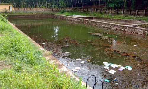 സംരക്ഷണമില്ല; വെള്ളനാട്ടെ നീന്തല്ക്കുളം നശിക്കുന്നു സംരക്ഷണമില്ല; വെള്ളനാട്ടെ നീന്തല്ക്കുളം നശിക്കുന്നു