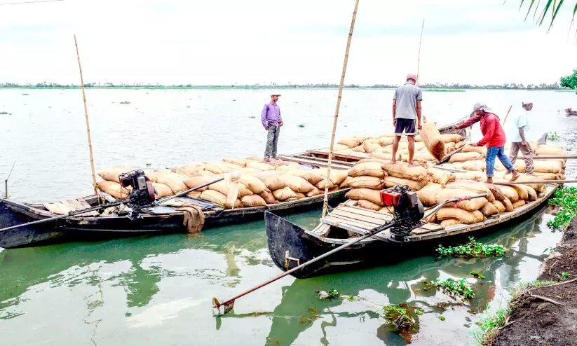 Procurement delayed For paddy farmers15.33 crore loss Procurement delayed For paddy farmers15.33 crore loss