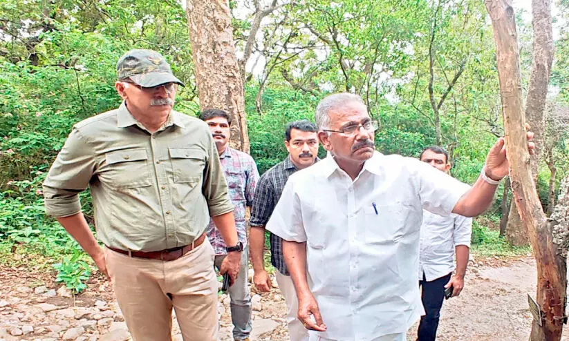 2000 diseased sandalwood trees will be cut down Minister Sasindran