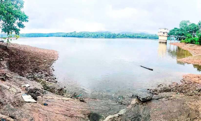 Continuous rainfall Water level in Malankara Dam Lowered
