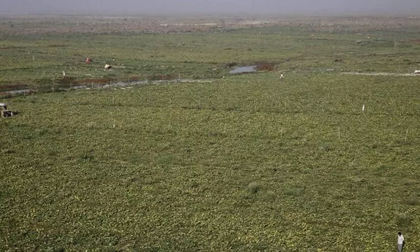 ജില്ലയിൽ 866 പേർക്ക് പട്ടയം; ഭൂരഹിതരില്ലാത്ത കേരളം നടപ്പാക്കുമെന്ന് റവന്യൂ മന്ത്രി ജില്ലയിൽ 866 പേർക്ക് പട്ടയം; ഭൂരഹിതരില്ലാത്ത കേരളം നടപ്പാക്കുമെന്ന് റവന്യൂ മന്ത്രി