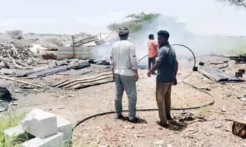 കരിക്കായി മരത്തടി കത്തിക്കൽ; വിദേശികൾ പിടിയിൽ