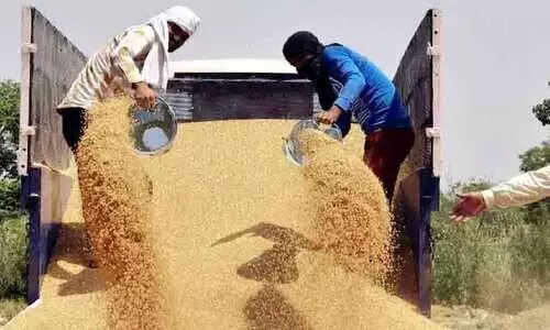 ഇന്ത്യയുടെ ഗോതമ്പ് കയറ്റുമതി നിരോധനം ബാധിക്കില്ലെന്ന്