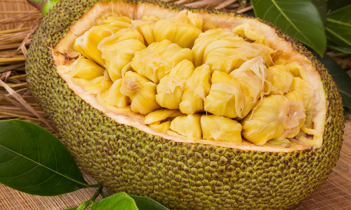 jackfruit
