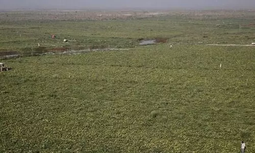 ജില്ലയിൽ 866 പേർക്ക് പട്ടയം; ഭൂരഹിതരില്ലാത്ത കേരളം നടപ്പാക്കുമെന്ന് റവന്യൂ മന്ത്രി