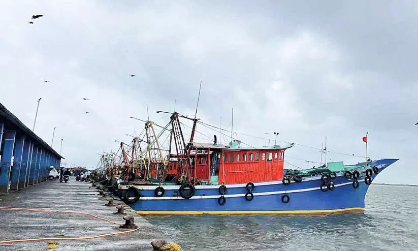 Fishing sector in crisis
