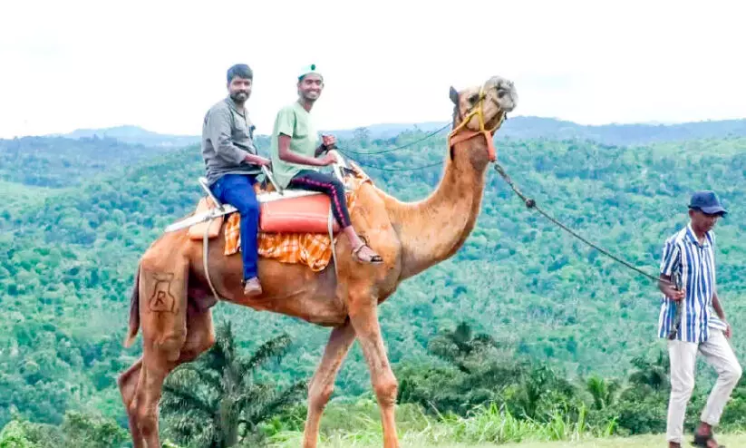 Come to Ramakkalmedu You can ride a camel