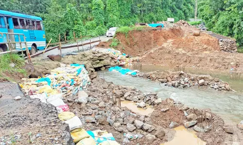 തെച്ചി പാലം നിർമാണ പ്രവൃത്തി മന്ദഗതിയിൽ