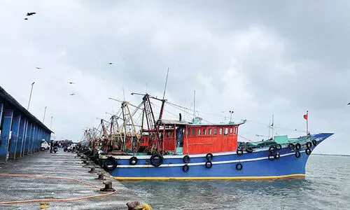 Fishing sector in crisis